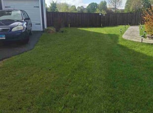Michael P.'s lawn care service result