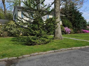 Kaitlyn C.'s lawn service service result