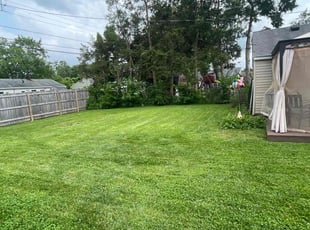 Joyce T.'s lawn care service result