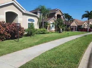 Camille R.'s lawn service service result