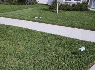 Stacy R.'s lawn care service result