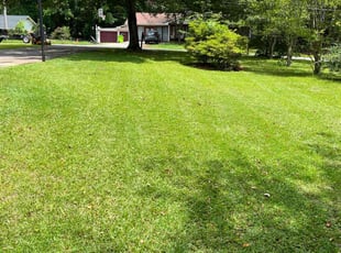 Rebecca M.'s lawn care service result