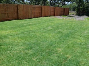 Sheryl M.'s lawn care service result