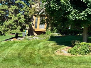 William F.'s lawn care service result