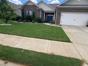 Elizabeth G.'s lawn care service result