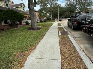 Debbie C.'s turf care service result