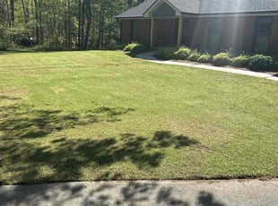 Barbara S.'s lawn service service result