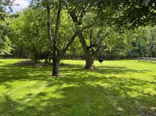 Leslie C.'s lawn maintenance service result