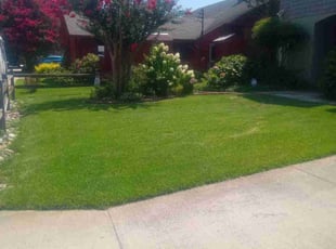 Cucnhat W.'s lawn care service result