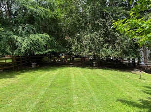 Kuleatha S.'s lawn maintenance service result