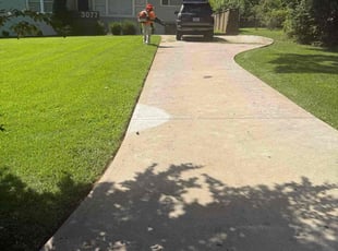 Catherine M.'s turf care service result