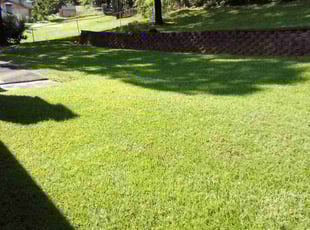 Linda C.'s lawn maintenance service result
