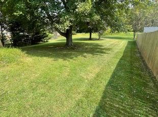 Michael B.'s grass maintenance service result