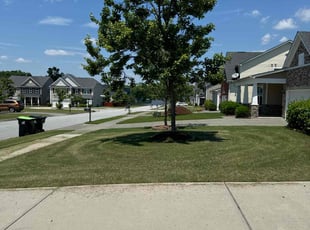 Diane P.'s lawn service service result