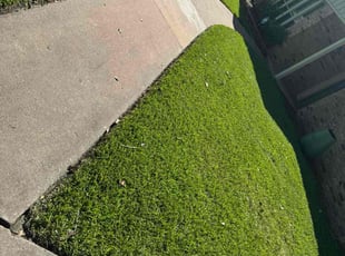 Tj A.'s turf care service result