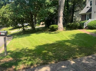 Jacqueline F.'s turf care service result