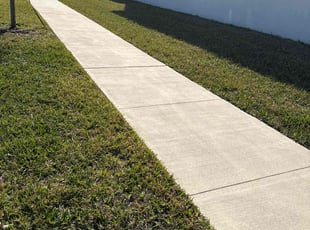 Mary C.'s turf care service result