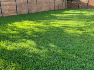 Amanda J.'s turf maintenance service result