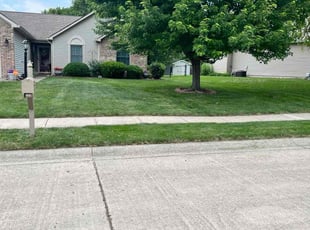 Lucinda W.'s turf maintenance service result
