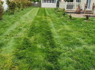 Richard B.'s turf care service result