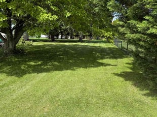 Pamela A.'s lawn care service result