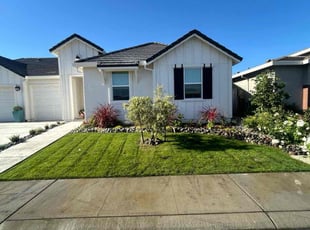 Jeanne L.'s lawn care service result