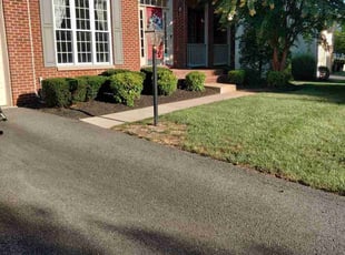 Cindy F.'s Bush Trimming service result