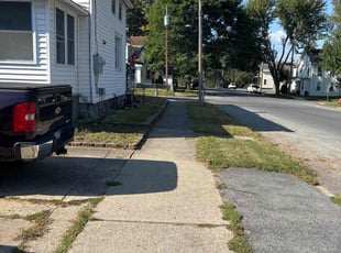 Terry H.'s lawn maintenance service result