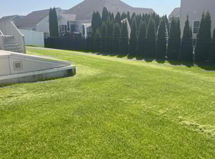 Jacky L.'s residential landscaping service result