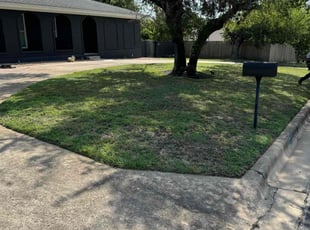 Carolrenee B.'s grass cutting service result
