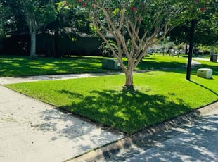 Matt H.'s lawn care service result