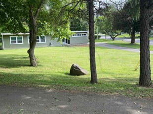 Mark F.'s grass cutting service result