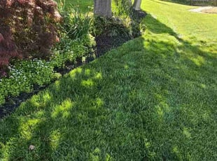 Richard M.'s yard maintenance service result