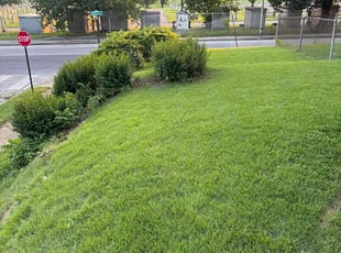 Ron U.'s turf maintenance service result