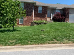 Robert R.'s lawn care service result