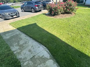 Jeannine M.'s lawn care services service result