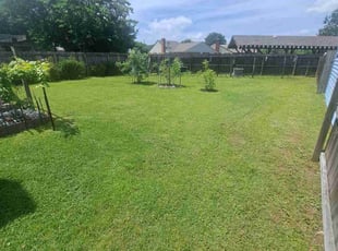 Jennifer G.'s lawn care service result