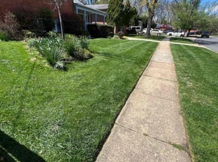Andree B.'s turf care service result
