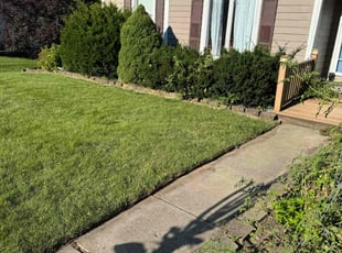 Bruce W.'s lawn care services service result