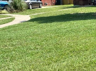 Harry F.'s lawn service service result