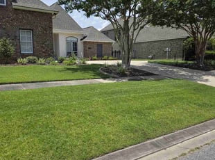 Cam M.'s turf care service result