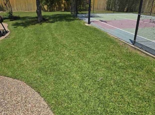 Andrew A.'s turf maintenance service result