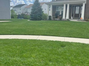 Tee F.'s lawn maintenance service result