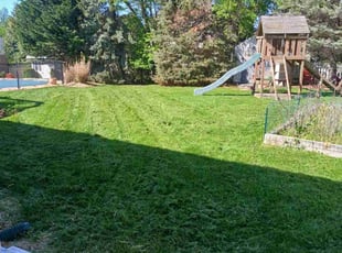 Tiffiny L.'s grass cutting service result