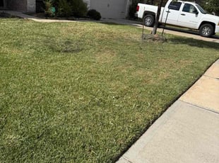 Jeffrey G.'s grass maintenance service result