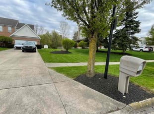 Susan N.'s grass cutting service result