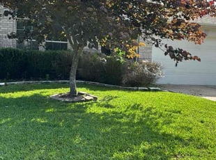 Staci H.'s grass cutting service result