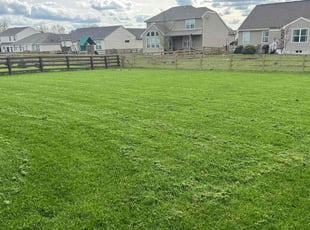 Joni F.'s turf care service result