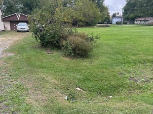 Nyre B.'s grass maintenance service result