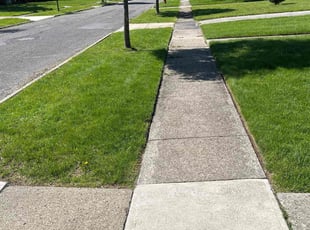 Janice R.'s lawn service service result